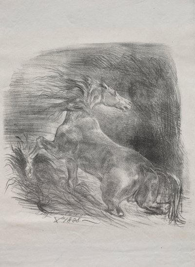 Yabani At veya Suyu Terk Eden Korkmuş At by Eugène Delacroix