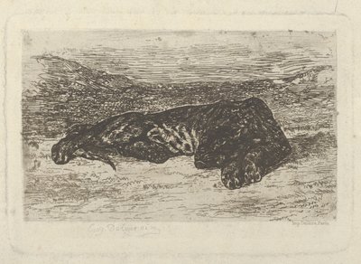 Çölde Yatan Kaplan, 1846 ., 1846 . by Eugène Delacroix