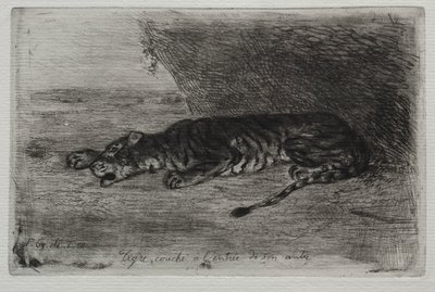 İninin Girişinde Uyuyan Kaplan by Eugène Delacroix