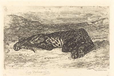 Çölde Uyuyan Kaplan Çölde Uyuyan Kaplan, 1846. by Eugène Delacroix