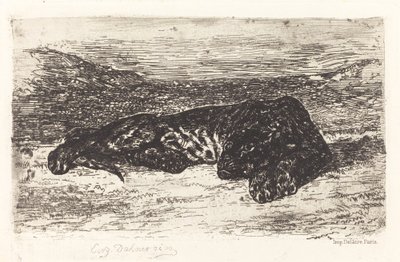 Çölde Uyuyan Kaplan, c. 1830. by Eugène Delacroix