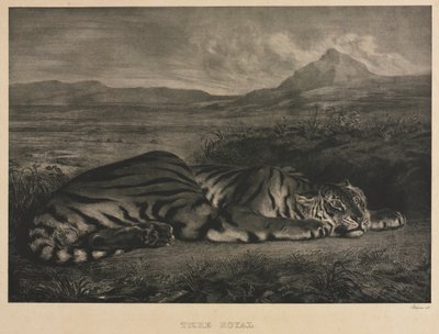 kraliyet kaplanı by Eugène Delacroix