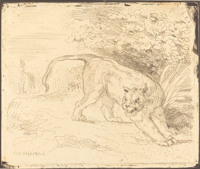Duran kaplan by Eugène Delacroix