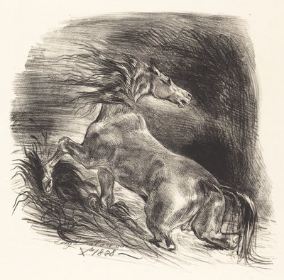 Yabani At Sudan Çıkıyor Cheval sauvage, 1828. by Eugène Delacroix