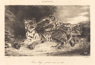 Annesiyle Oynayan Genç Kaplan, Annesiyle Oynayan Genç Kaplan, 1831. by Eugène Delacroix