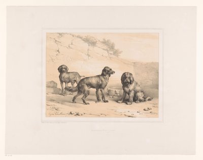 Üç köpek Çeşitli hayvanlar (dizi adı) Études d'Animaux (dizi adı) by Eugène Verboeckhoven