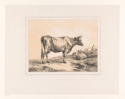 Bir manzarada inek ve koyun Çeşitli hayvanlar (dizi başlığı) Études d'Animaux (dizi başlığı) by Eugène Verboeckhoven