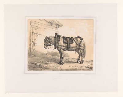 Eyerli ve yularlı at Çeşitli hayvanlar (dizi adı) Études d'Animaux (dizi adı) by Eugène Verboeckhoven