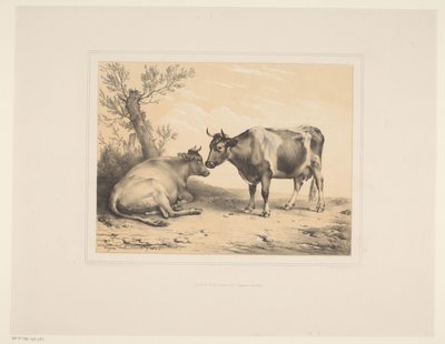 İki inek Çeşitli hayvanlar (dizi başlığı) Études d'Animaux (dizi başlığı) by Eugène Verboeckhoven