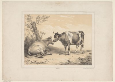 twee koeien Çeşitli tamme dieren (dizi başlığı) On Üç Yerli ve Yerli Hayvan Denek (dizi başlığı) by Eugène Verboeckhoven