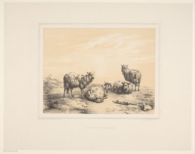 Dört koyun Çeşitli hayvanlar (dizi başlığı) Études d'Animaux (dizi başlığı) by Eugène Verboeckhoven