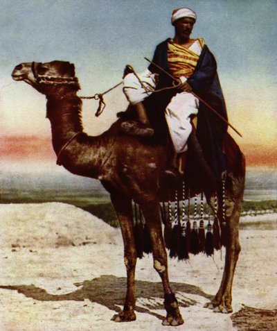 Bir Bedevi (fotoğraf) by European Photographer