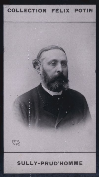 Armand Sully Prudhomme (1839) (s/b fotoğraf) by European Photographer