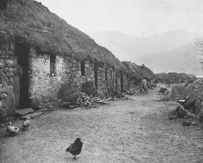 Shetland Adaları