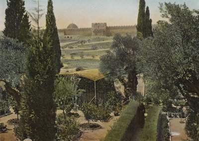 Gethsemane Bahçesi by European Photographer