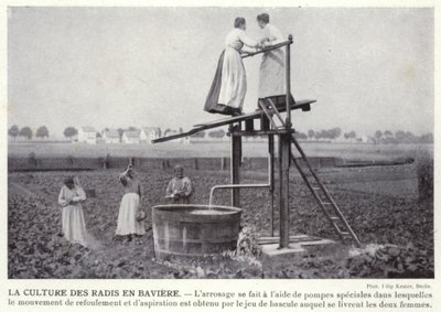 Bavyera