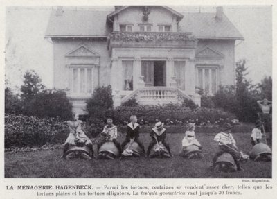 La Menagerie Hagenbeck (s/b fotoğraf) by European Photographer