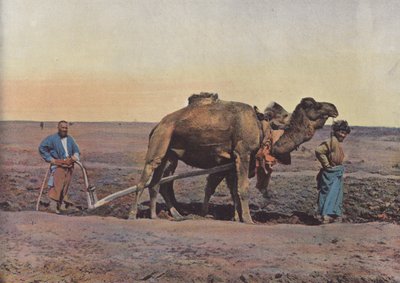 İşçi Tekes by European Photographer