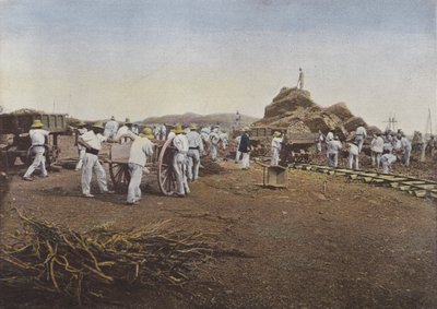 Les Condamnes veya Travail, Noumea by European Photographer