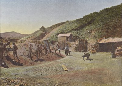 Nikel Madeni (La Sans-Culotte) Doğu Sahili by European Photographer