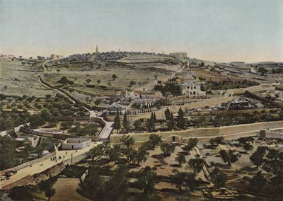 Zeytin Dağı by European Photographer