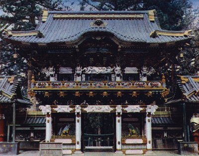 Nikko, Kitaplar, Yaşam Beklentisi-Mon, fm Whitin by European Photographer