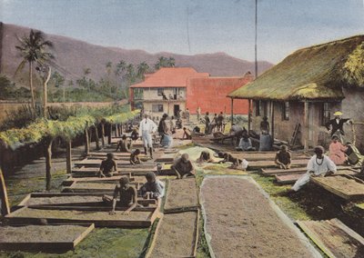 Hazırlık Du Cafe A Canala by European Photographer