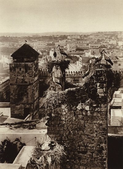 Rabat, Kasbah Oudaya