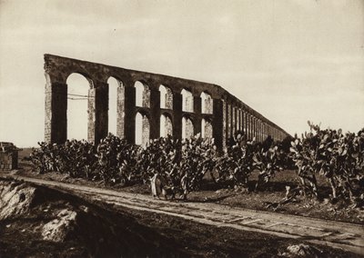 Bardo, Tunus yakınlarındaki Roma su kemeri (s/b fotoğraf) by European Photographer