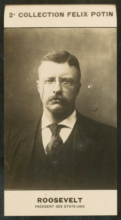Theodore Roosevelt, Amerika Birleşik Devletleri Başkanı by European Photographer