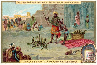 Bir yılan oynatıcısı (chromolitho) by European School