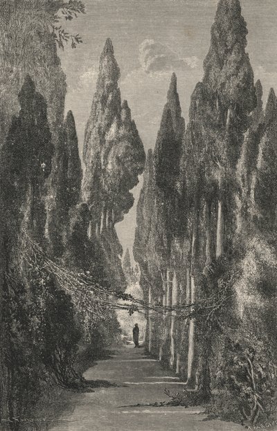 Allee Du Generalife (gravür) by European School