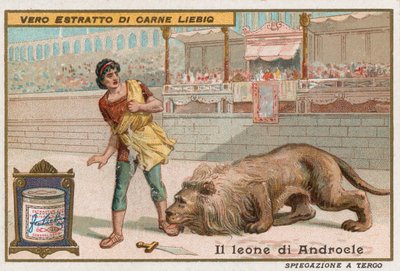 Androcles ve aslan by European School