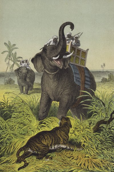 Hindistan