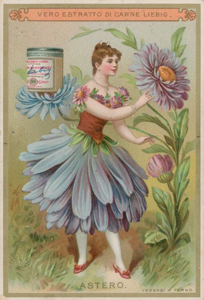 Aster Çiçekçi Kız by European School