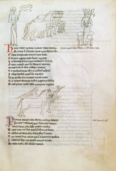 Bestiary: The Horse (parşömen üzerine mürekkep) by European School