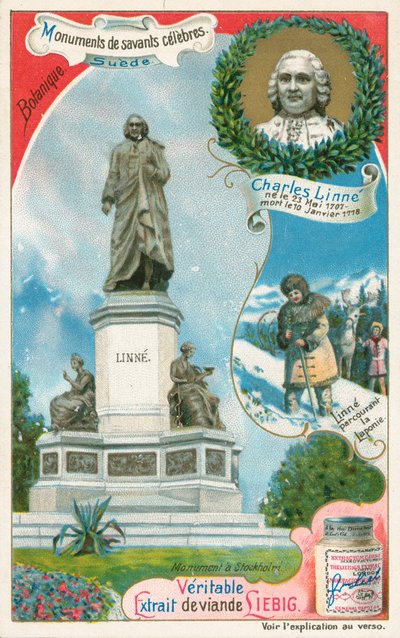  by European School