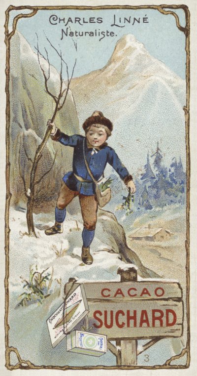 İsveçli botanikçi ve zoolog Carl Linnaeus, çocukken by European School