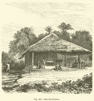 Brezilya kutusu (gravür) by European School