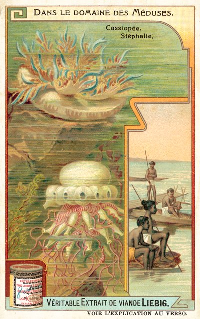 Cassiopeia ve Stephalia (chromolitho) by European School