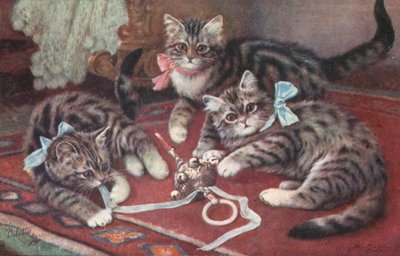 Kedi kartpostalı (renkli taş baskı) by European School