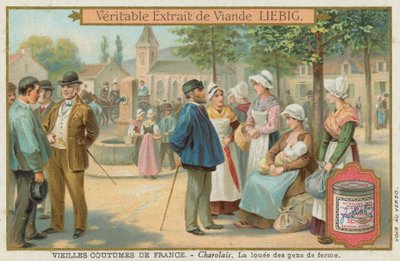 Şarolais by European School