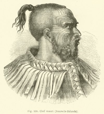 Maori şefi, Yeni Zelanda (gravür) by European School