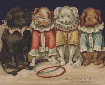 komik köpekler by European School