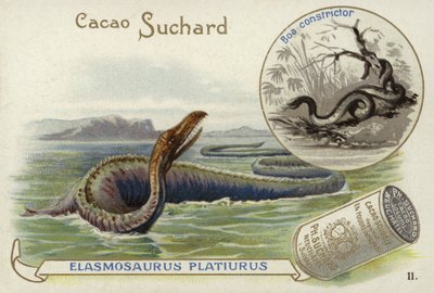 Elasmosaurus ve boa yılanı by European School