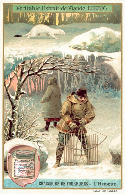 Ermin tuzakçıları (chromolitho) by European School