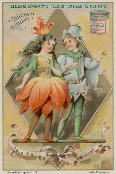 Ateş Zambak ve Bluebell by European School