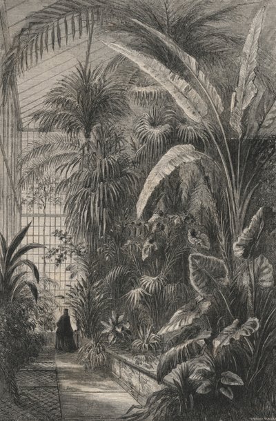 Paris Müzesi