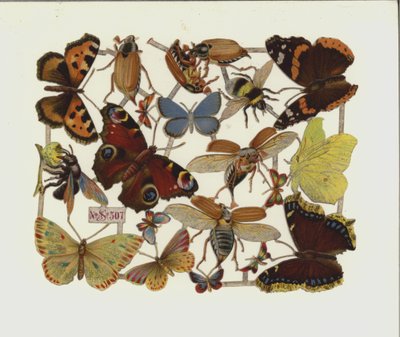 Böcekler (kromolito) by European School