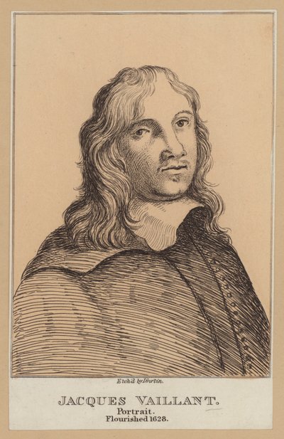 Jacques Vaillant, Hollandalı ressam (gravür) by European School